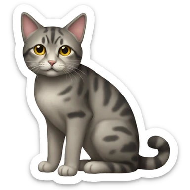  4/5000 Full-body cat sticker