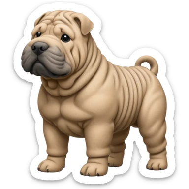 Grey shar pei standing sticker