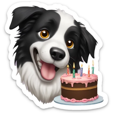 border collie with birthday cake sticker