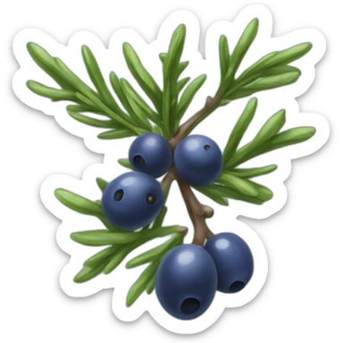 juniper berry sticker
