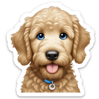 golden doodle puppy with blue eyes sticker