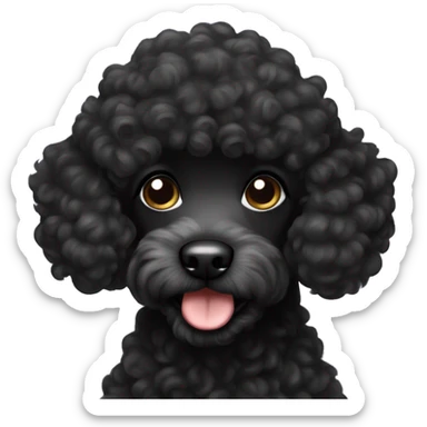 Black curly little poodle sticker