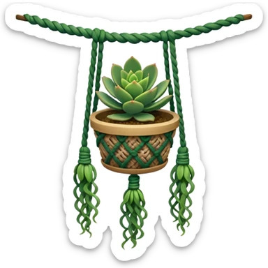 Succulent plant in macrame sticker