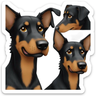 Beauceron sticker