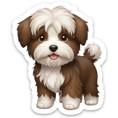 Havanese brown dog sticker