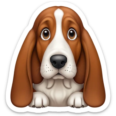Solid brown basset hound with black snout sticker
