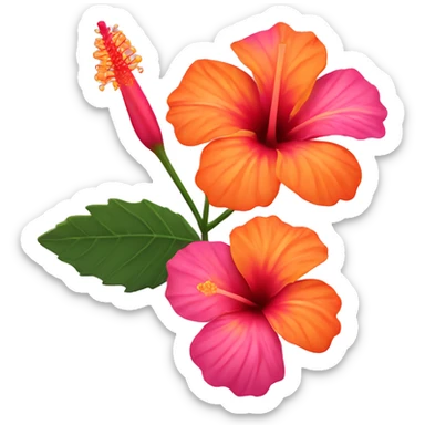 Pink and orange hibiscus flower sticker