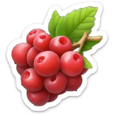 the berries are round and ripe with wings on the sides sticker