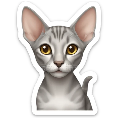 grey tabby oriental shorthair cat with large ears sticker