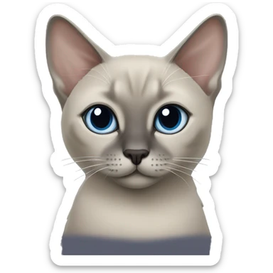 Blue mink tonkinese cat sticker
