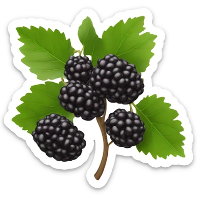 one black mulberry sticker