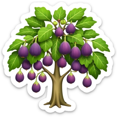 fig tree  sticker