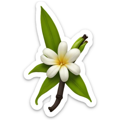  natural vanilla beans with flower sticker