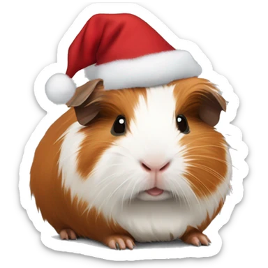 Abyssinian Guinea Pig with a Christmas hat sticker