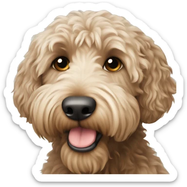 australian labradoodle  sticker