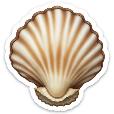 Sea shell  sticker