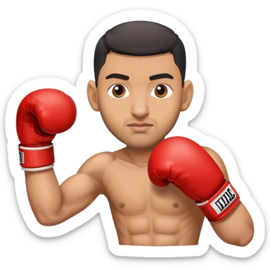 amir khan sticker