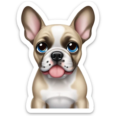 Fawn Merle French Bulldog with one blue eye sticker
