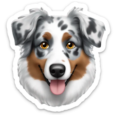 Australian shepherd dog blue merle  sticker