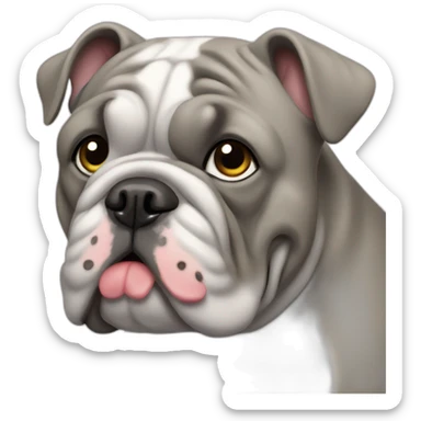 Gray colored France-BullDog sticker