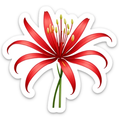 Spider lily flower sticker