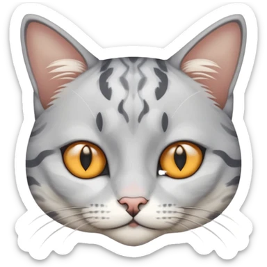 It's a white gray mixed cat with a gray pattern on its head like a 5:5 part. Its eyes are amber sticker