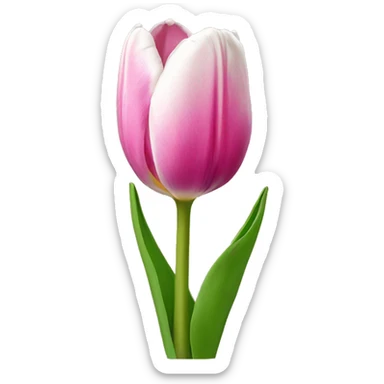 tulip sticker