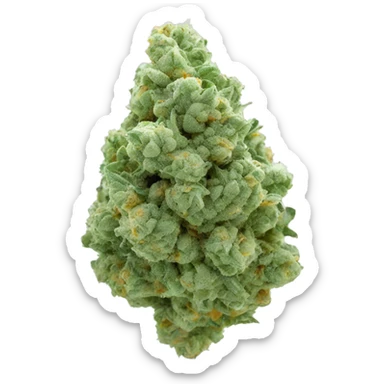 CBD nug  sticker