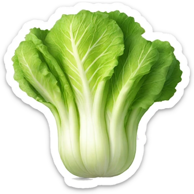 Napa cabbage sticker
