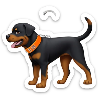Rottweiler dog wearing a orange collar with a key chain that says “Diesel” sticker
