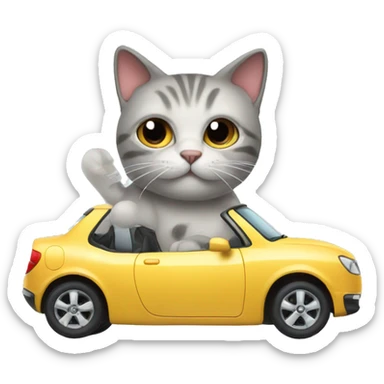 Cat with car sticker