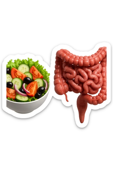 bowl di insalata fluttua in aria insieme ad intestino umano anatomico realistico, IPERREALISTICO 4K sticker