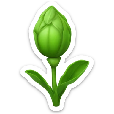 inspecting green flower bud sticker