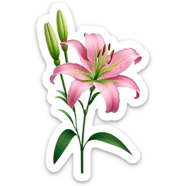 pink Lily flower stem sticker