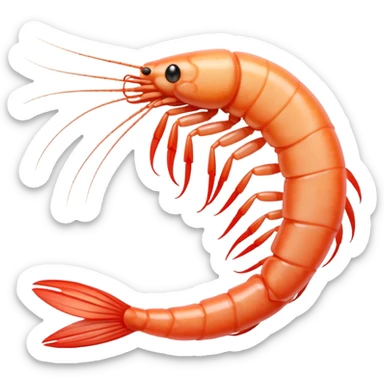 White shrimp  sticker