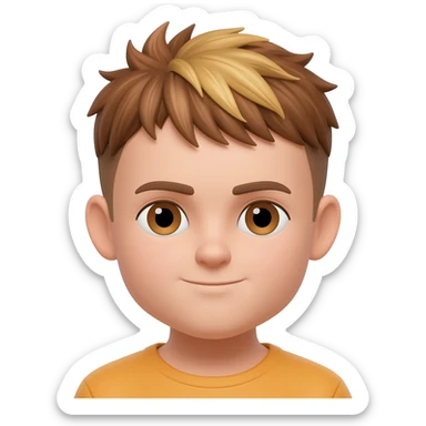 A boy. With the hair in brown and blonde in strands but to be realisef sticker