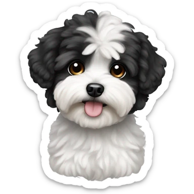 Black and white Maltipoo  sticker