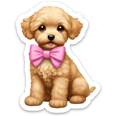 Golden maltipoo puppy with pink bow sticker