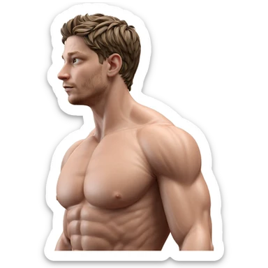 muscular male in natural light sticker