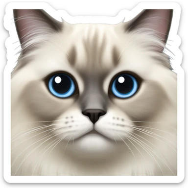 a himalayan birman cat with grey bluish eyes sticker