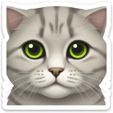 Scottish fold cat with green eyes  sticker