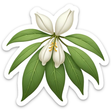 wilted jasmine emoji sticker