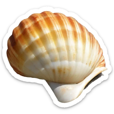 Shell camino santiago sticker