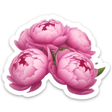 bouquet of peonies  sticker