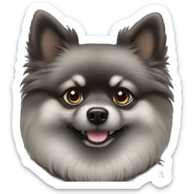 Black and gray Pomeranian with blue and brown eye sticker