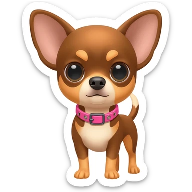 Little cute brown and tan applehead chihuahua with a pink motorcycle collar sticker
