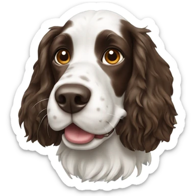 Springer spaniel dog sticker