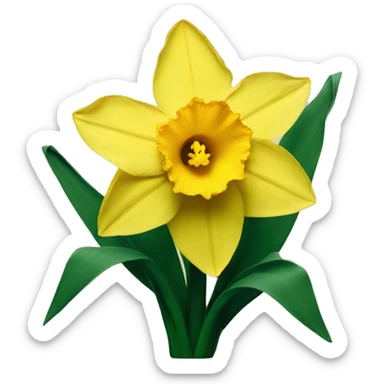 Daffodil sticker