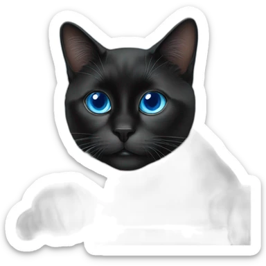 a black cat with blue eyes works on the stock market sticker