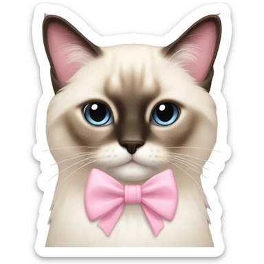 Long haired Siamese cat with pastel pink bow sticker